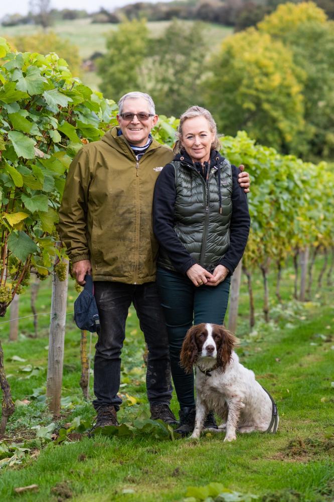 portrait photography of lesley-anne and nigel at dryhill vineyard in the cotswolds during harvest