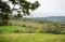 Dryhill vineyard landscape near Cheltenham